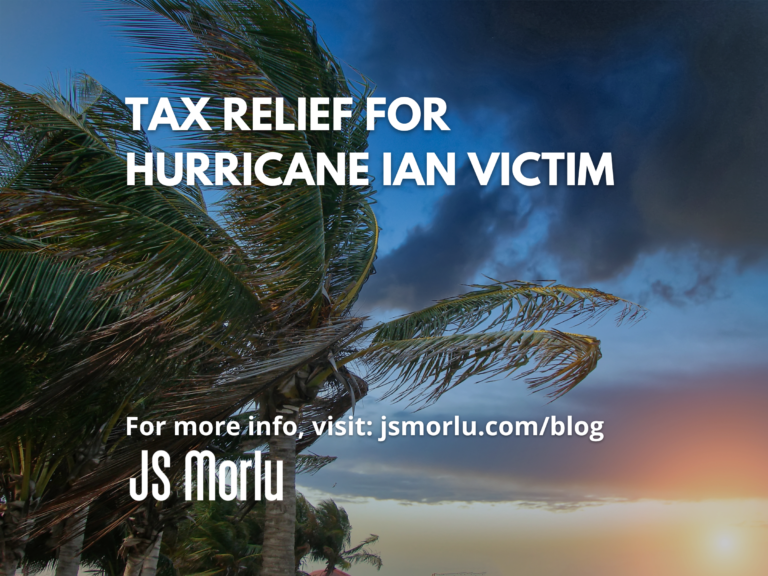 Palm tree swaying in strong winds during stormy weather - Tax Relief.