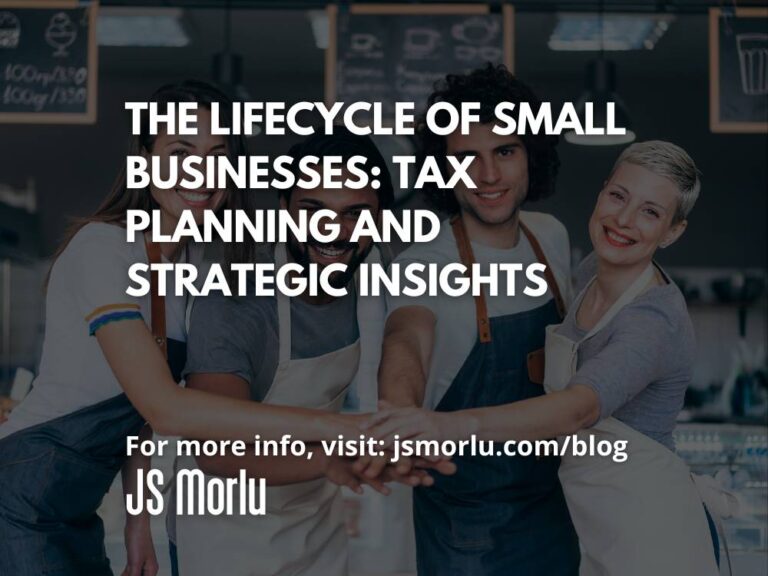 The Lifecycle of Small Businesses: Tax Planning and Strategic Insights